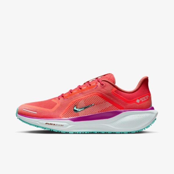 Чоловічі кросівки NIKE AIR ZOOM PEGASUS 41 GTX