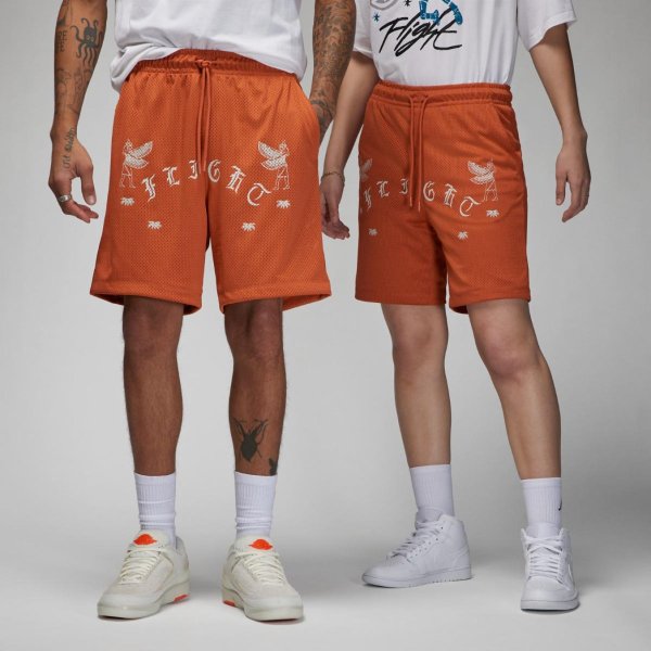 Чоловічі шорти JORDAN M J FLT ARTST SRS MESH SHORT