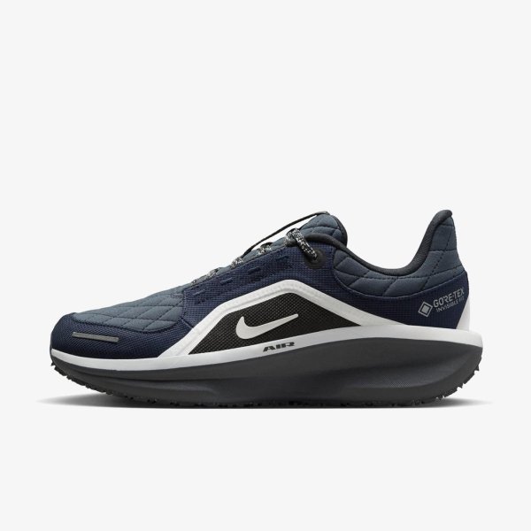 Жіночі кросівки NIKE W AIR WINFLO 11 GTX