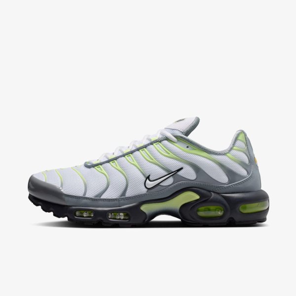 Чоловічі кросівки NIKE AIR MAX PLUS
