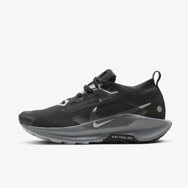 Жіночі кросівки NIKE W PEGASUS TRAIL 5 GTX