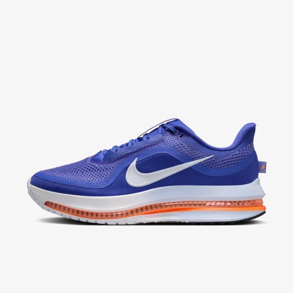 Мужские кроссовки NIKE PEGASUS PREMIUM