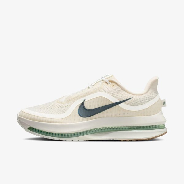 Чоловічі кросівки NIKE PEGASUS PREMIUM