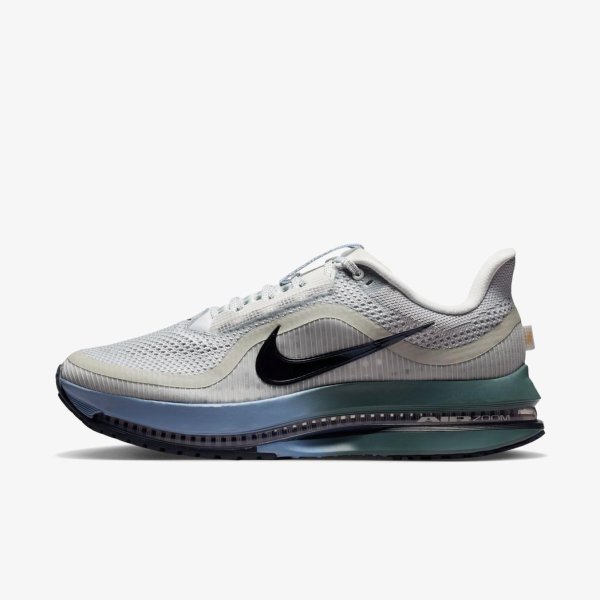 Чоловічі кросівки NIKE PEGASUS PREMIUM