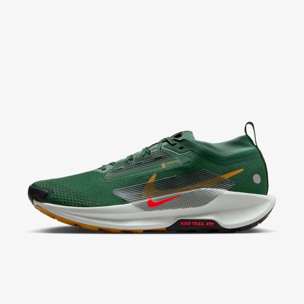 Мужские кроссовки NIKE PEGASUS TRAIL 5 GTX