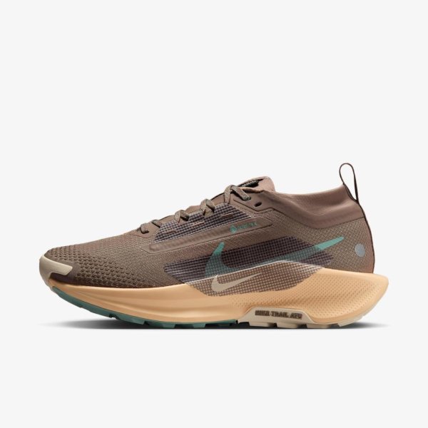 Жіночі кросівки NIKE W PEGASUS TRAIL 5 GTX