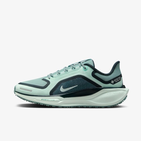 Жіночі кросівки NIKE W AIR ZM PEGASUS 41 GTX