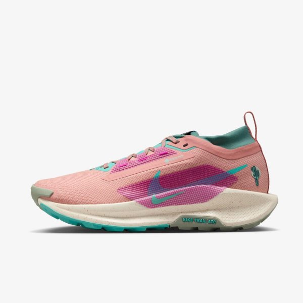Кросовки NIKE W PEGASUS TRAIL 5 GTX