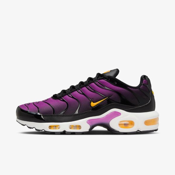 Жіночі кросівки NIKE W AIR MAX PLUS