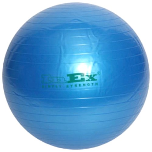 Мяч гимнастический INEX Swiss Ball 75 см.