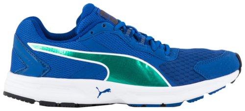 Кроссовки для бега PUMA Descendant v3 Wn