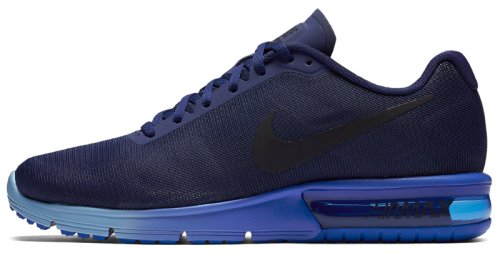 Кроссовки для бега Nike AIR MAX SEQUENT