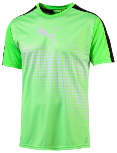 Футболка Puma IT evoTRG Graphic Tee