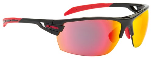 Очки солнцезащитные Alpina TRI-SCRAY
