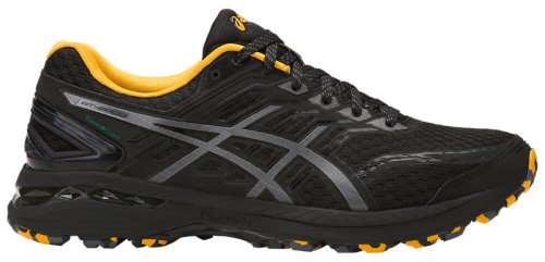 Кроссовки для бега Asics GT-2000 5 TRAIL PLASMAGUARD