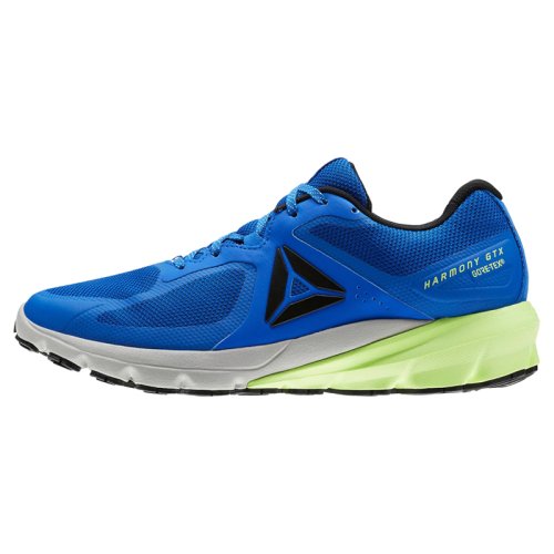 Кроссовки для бега Reebok OSR HARMONY ROAD GTX