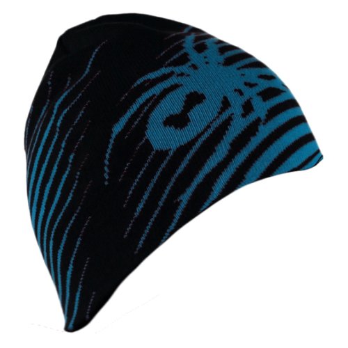 Шапка Spyder Throwback Hat