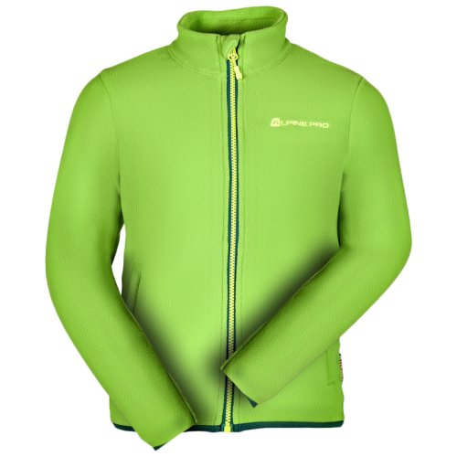 Флис Alpine Pro CASSIUSO