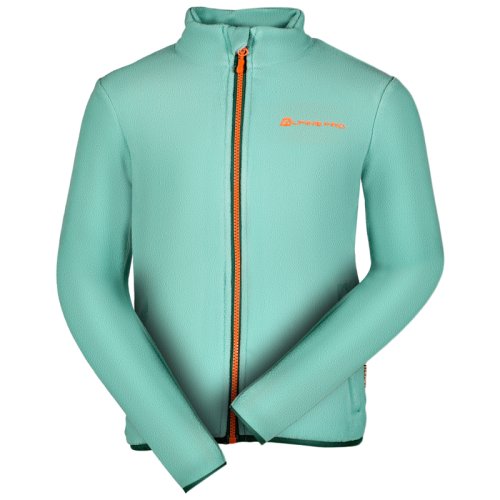 Флис Alpine Pro CASSIUSO