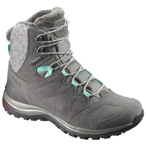 Ботинки Salomon ELLIPSE WINTER GTX® Castor Gra/Bel