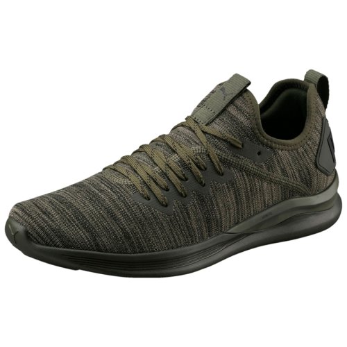 Кроссовки для тренировок Puma IGNITE FLASH EVOKNIT