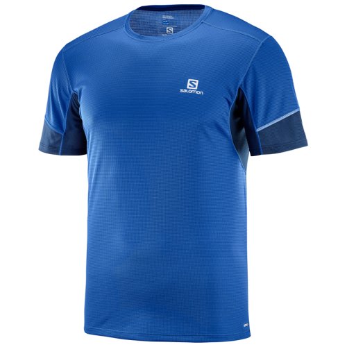 Футболка Salomon AGILE SS TEE M Surf The Web SS18