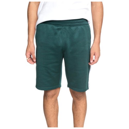 Шорти DC HEGGERTY SHORT M OTLR