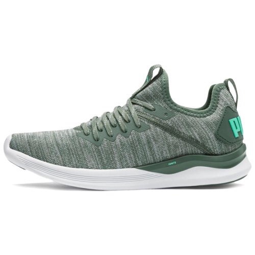 Кроссовки для тренировок Puma IGNITE Flash evoKNIT Wn's