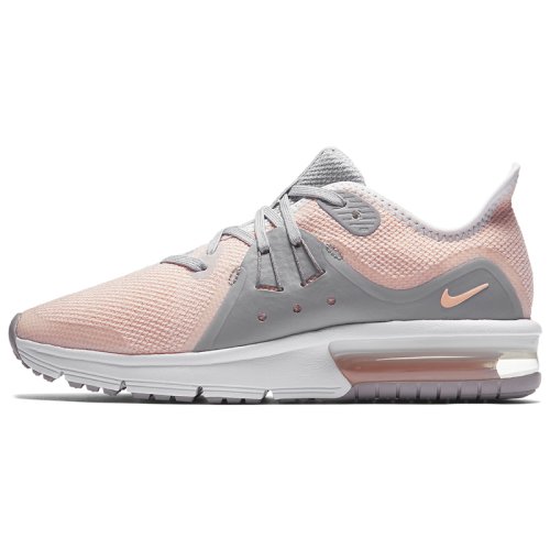 Кроссовки Nike AIR MAX SEQUENT 3 (GS)