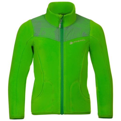 Флис Alpine Pro REDO 3