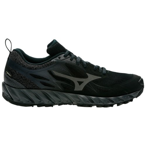 Кроссовки для бега Mizuno WAVE IBUKI GTX