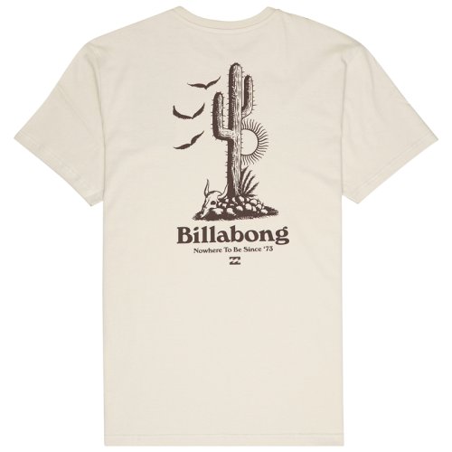 Футболка Billabong CALI BAJA TE SS