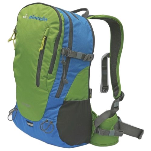 Рюкзак Pinguin Step 24 (Green)