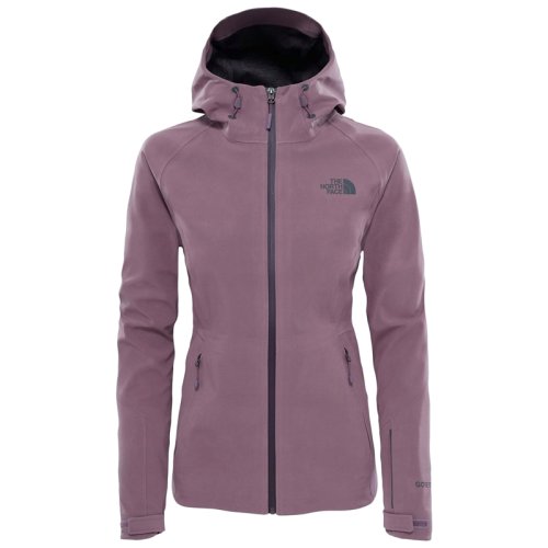 Куртка The North Face Women's Apex Flex GTX Jacket