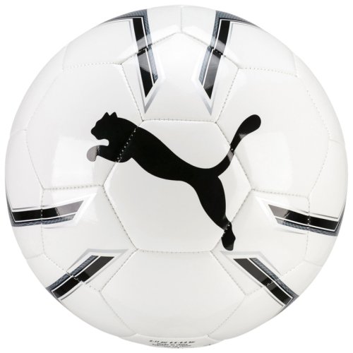 Мяч футбольный Puma Pro Training 2 MS ball