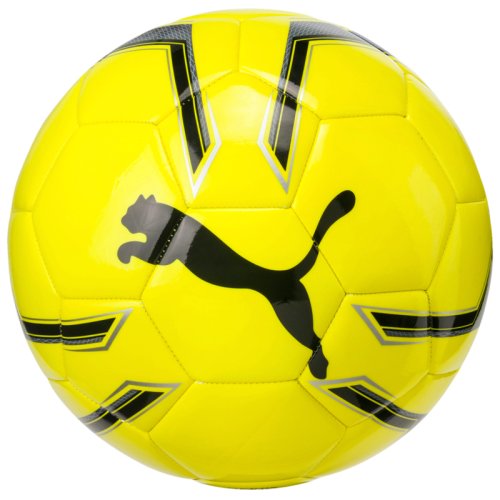 Мяч футбольный Puma Pro Training 2 MS ball