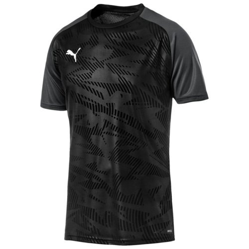 Футболка Puma CUP Training Jersey Core