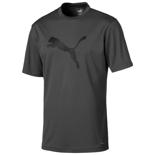 Футболка Puma ftblPLAY Logo Tee