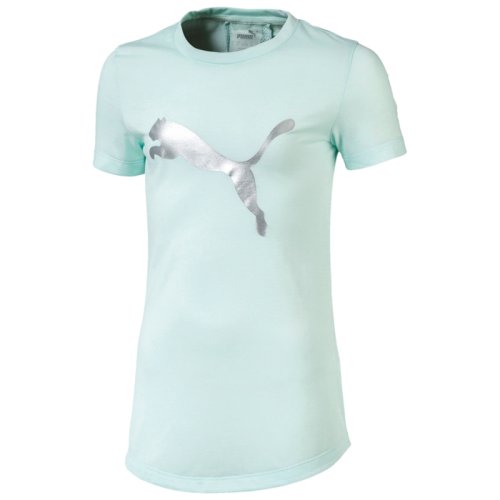 Футболка Puma Active Sports Tee G
