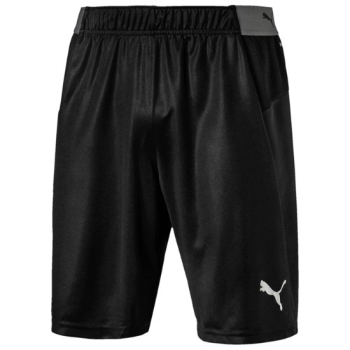 Шорты Puma ftblNXT Shorts