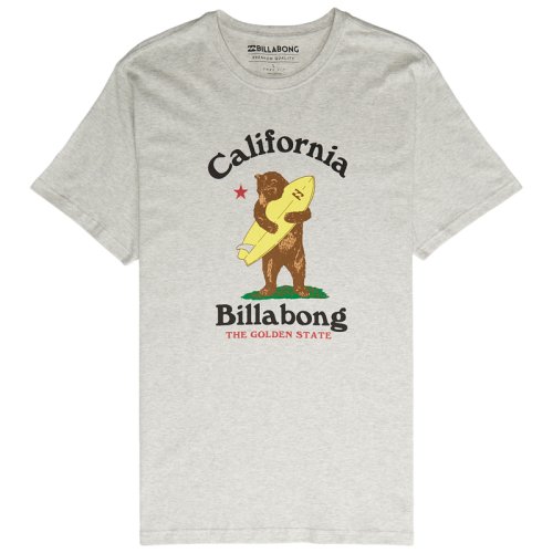 Футболка Billabong GOLDEN STATE TE SS