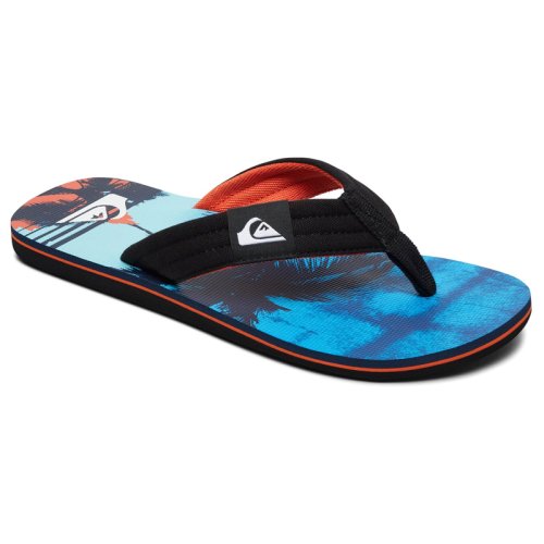 В'єтнамки Quiksilver MOLOKAI LAYBACK M