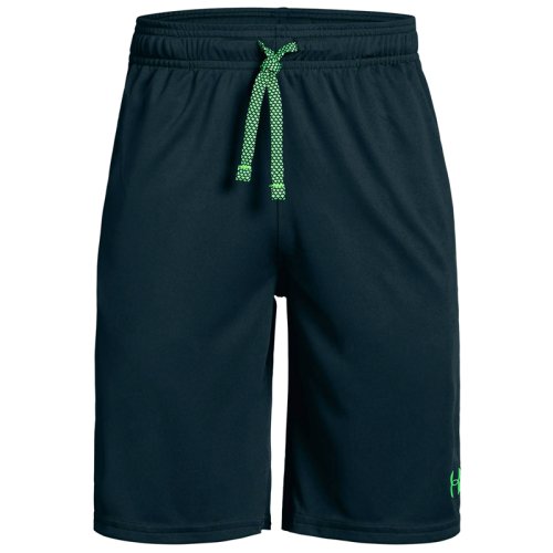 Шорты Under Armour Prototpe Wordmark Short