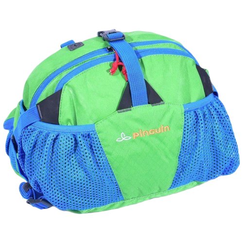 Сумка на пояс Pinguin Hip Bag (Green)