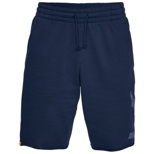 Шорты Under Armour PROJECT ROCK TERRY SHORT