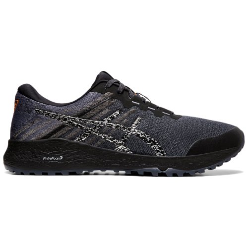 Кроссовки для бега  Asics  ALPINE XT 2