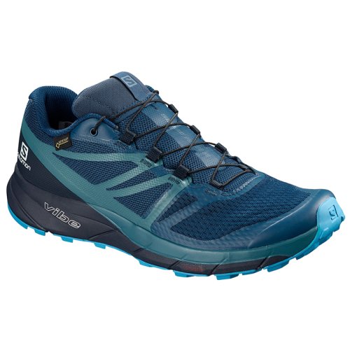 Кроссовки Salomon SENSE RIDE2 GTX INVISIBLE FIT P