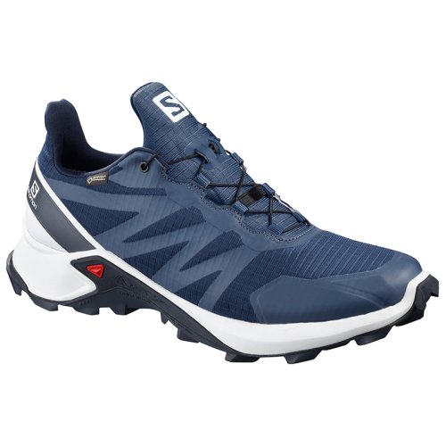 Кроссовки Salomon SUPERCROSS GTX Sargasso S/Wh/In