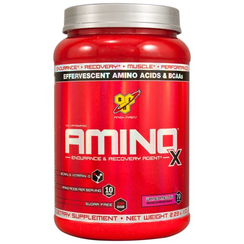 Аминокислота BSN Amino X 1,01 кг - fruit punch