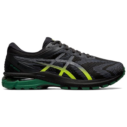 Кросівки для бігу Asics Gt 2000
